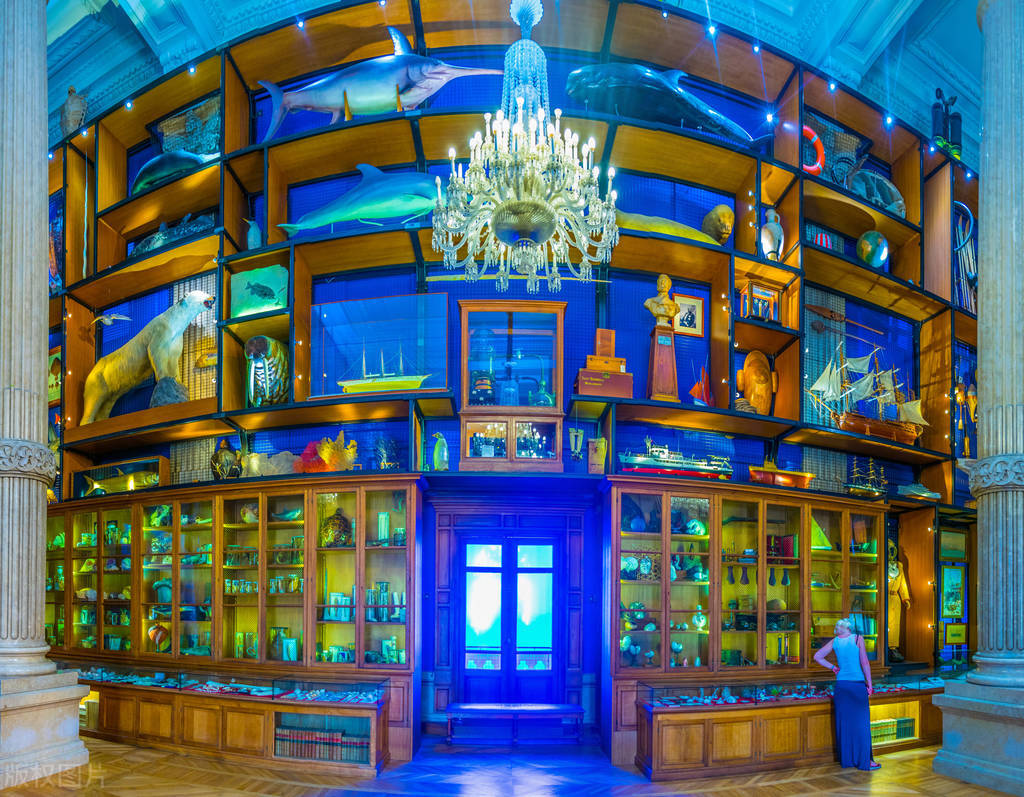 摩纳哥的冷知识,你不知道的梵蒂冈的冷知识