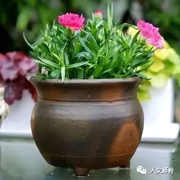 吴文刚｜|妈妈的瓦罐