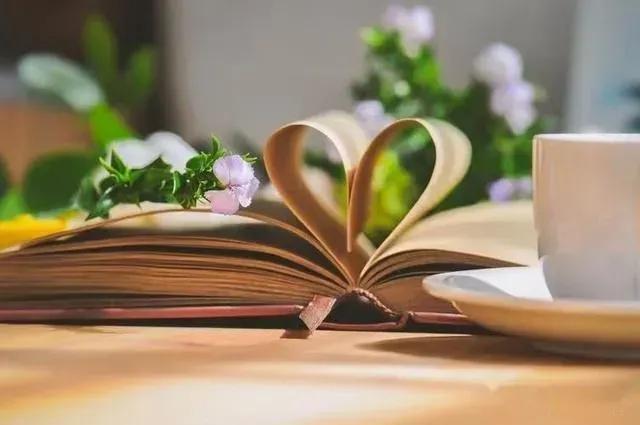 2023年民办教育新动向,义教均衡发展前景如何