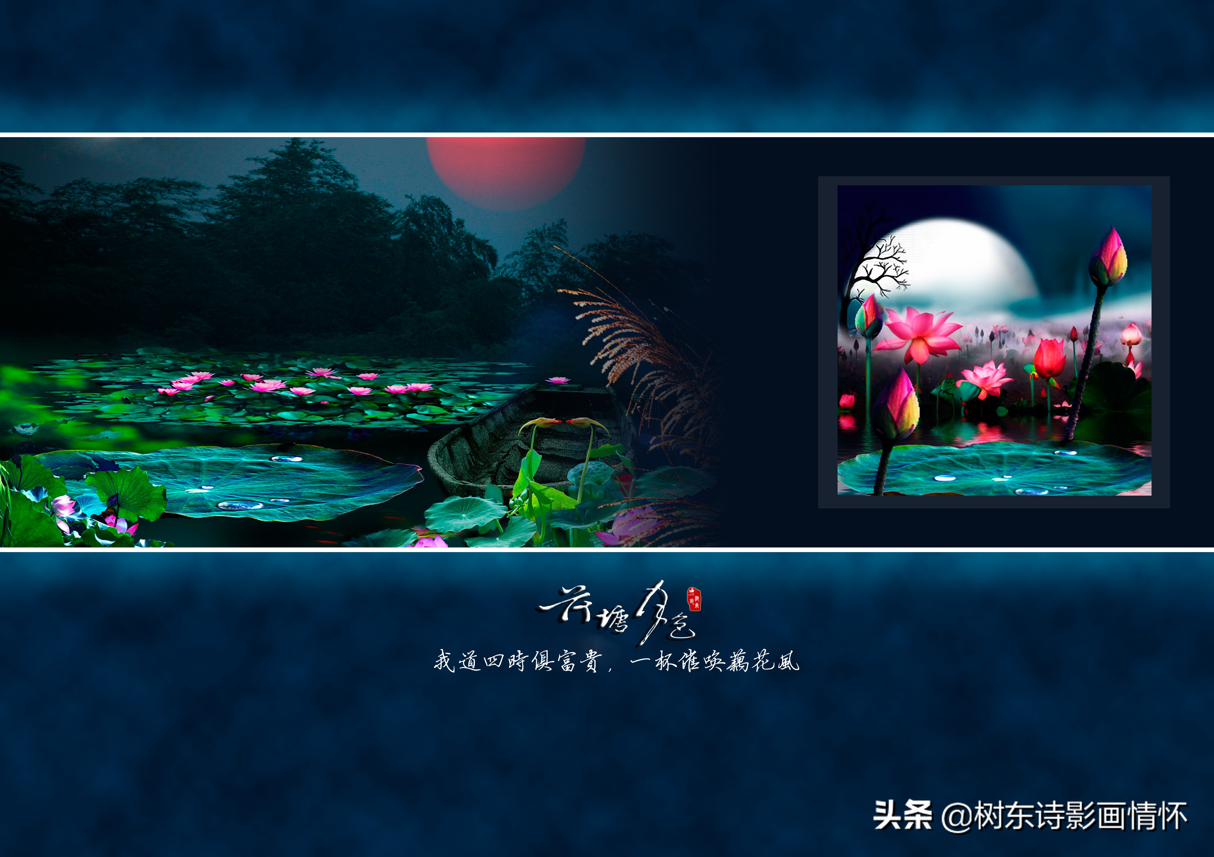 荷花美出淤泥而不染,这才是真正的荷花出淤泥而不染