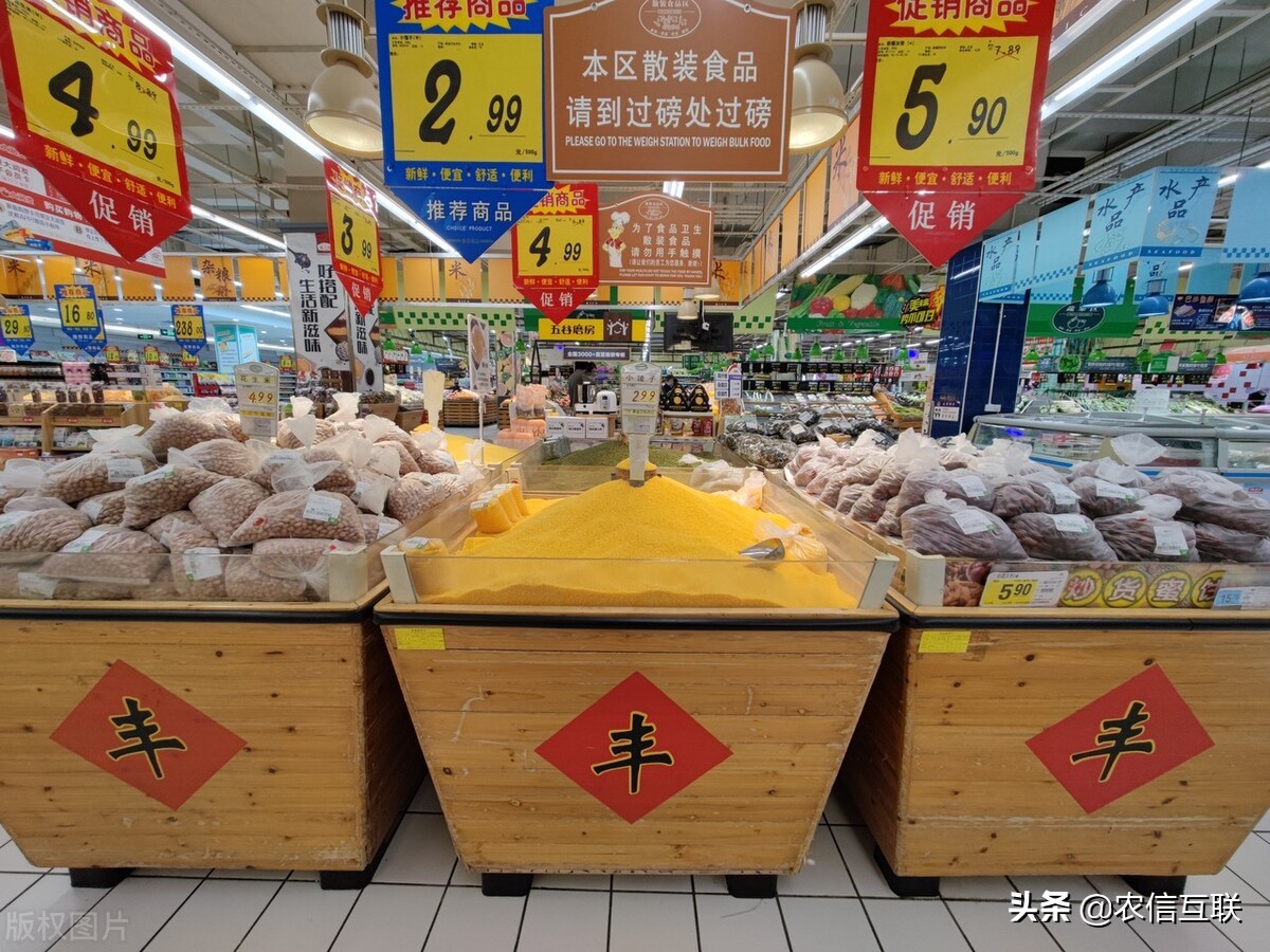 今日玉米行情山东,山东玉米今日行情大盘走势