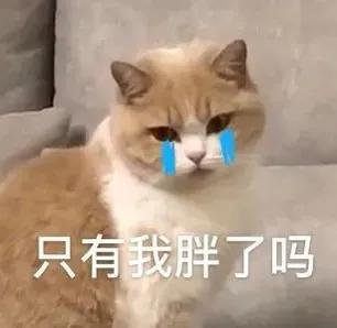 閫傚悎鏈嬪弸鍦堢殑娌欓洉鍙ュ瓙,閫傚悎鏈嬪弸鍦堢殑娌欓洉鏂囨