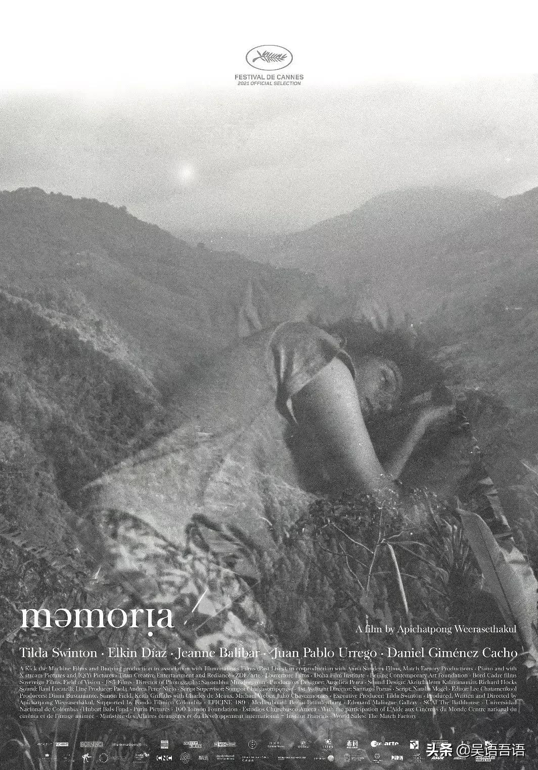 1月份看过的短剧,1月份推荐电视剧