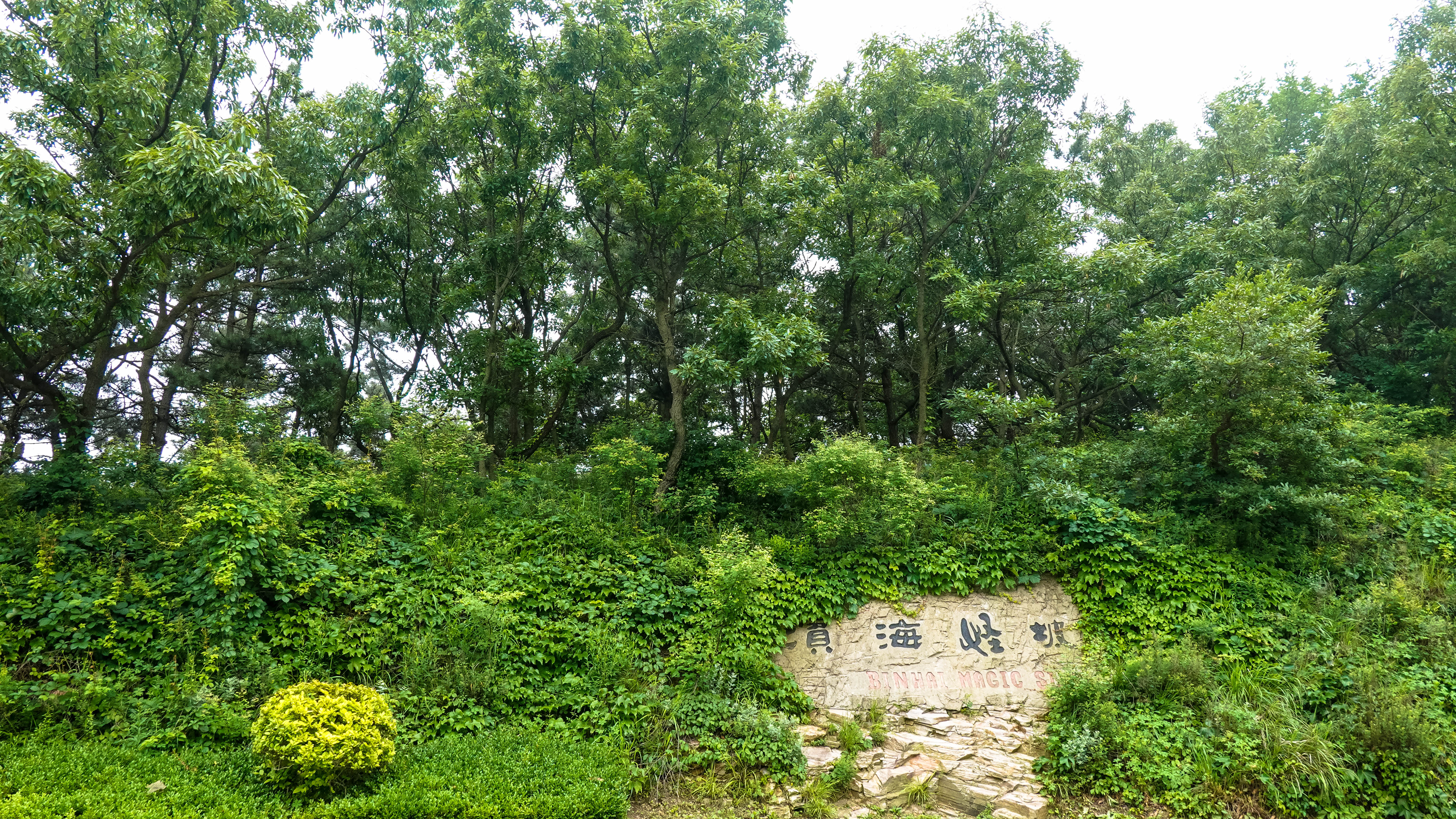 行摄华夏系列(38)——浪漫之都大连(四)