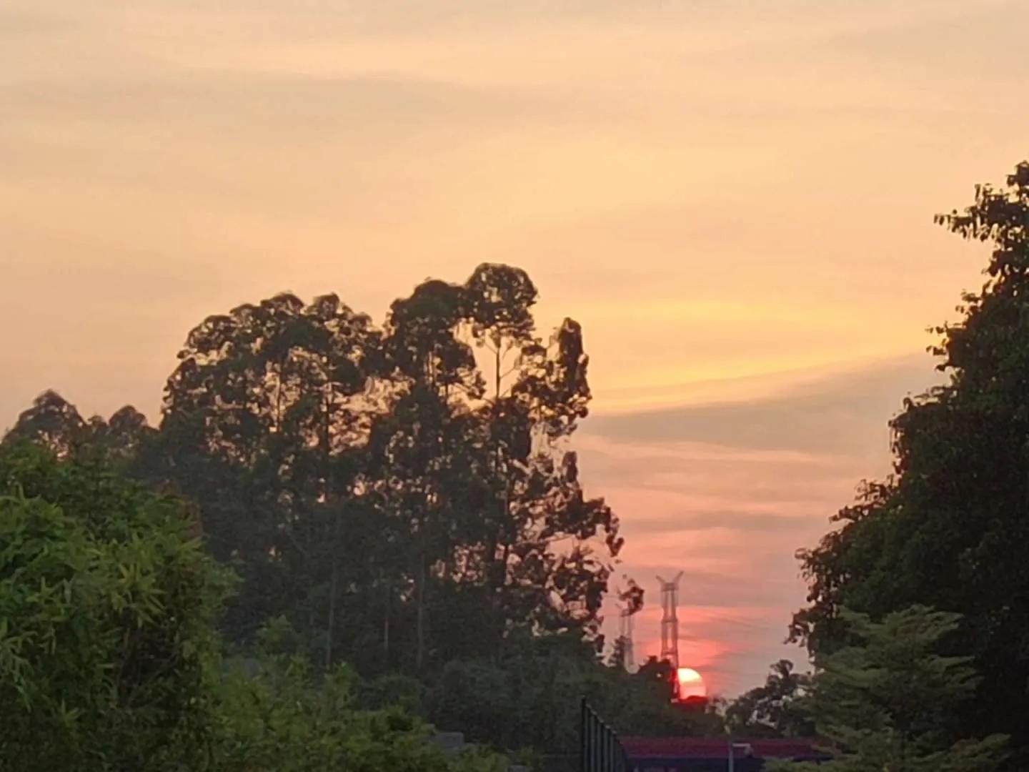 懦弱文案,关于懦弱的文案