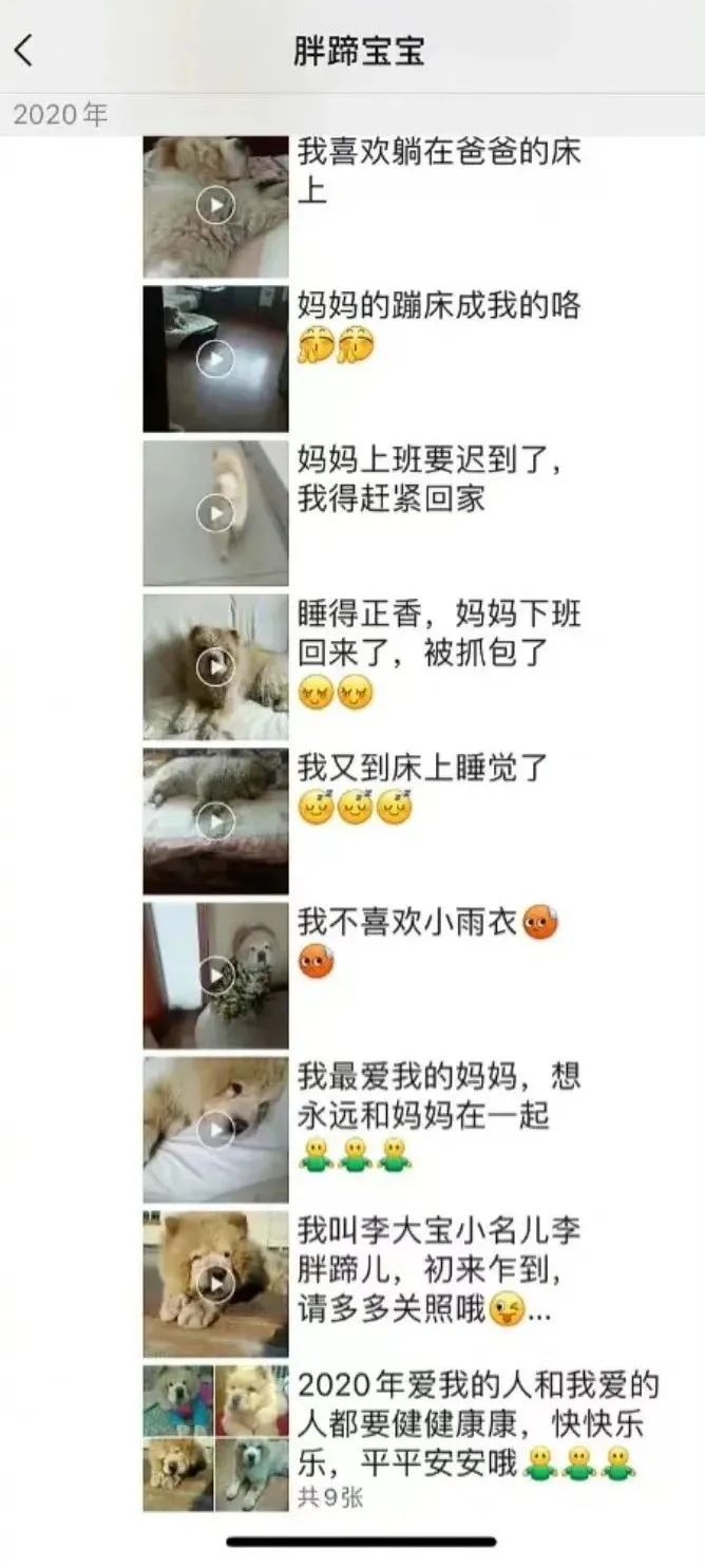 老妈给狗申请微信号,拉进家族群,每天更新朋友圈…可看完我却哭了