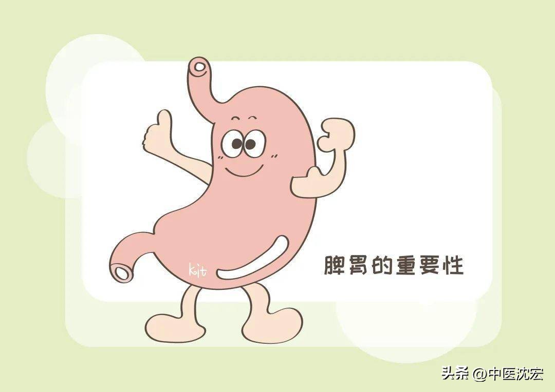 调和五脏心肝肺脾肾28味中药,一味补肝脾肾的中药