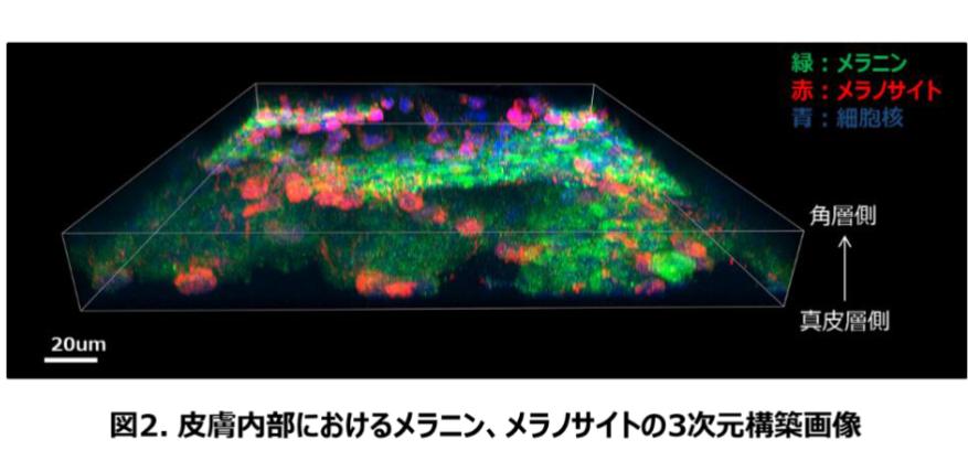 盘点4款大牌美白精华,美白精华合集8款
