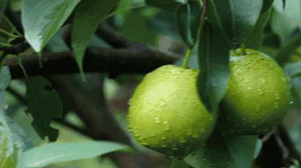 邂逅成都的100个生活细节,邂逅成都的一百个细节