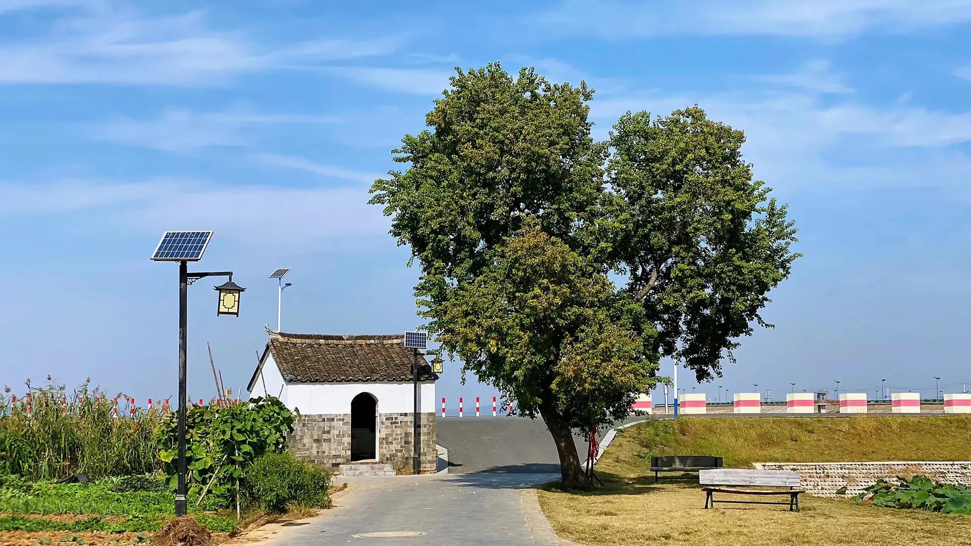 真正的朋友值得一生珍藏,属龙女一生有没有真正朋友