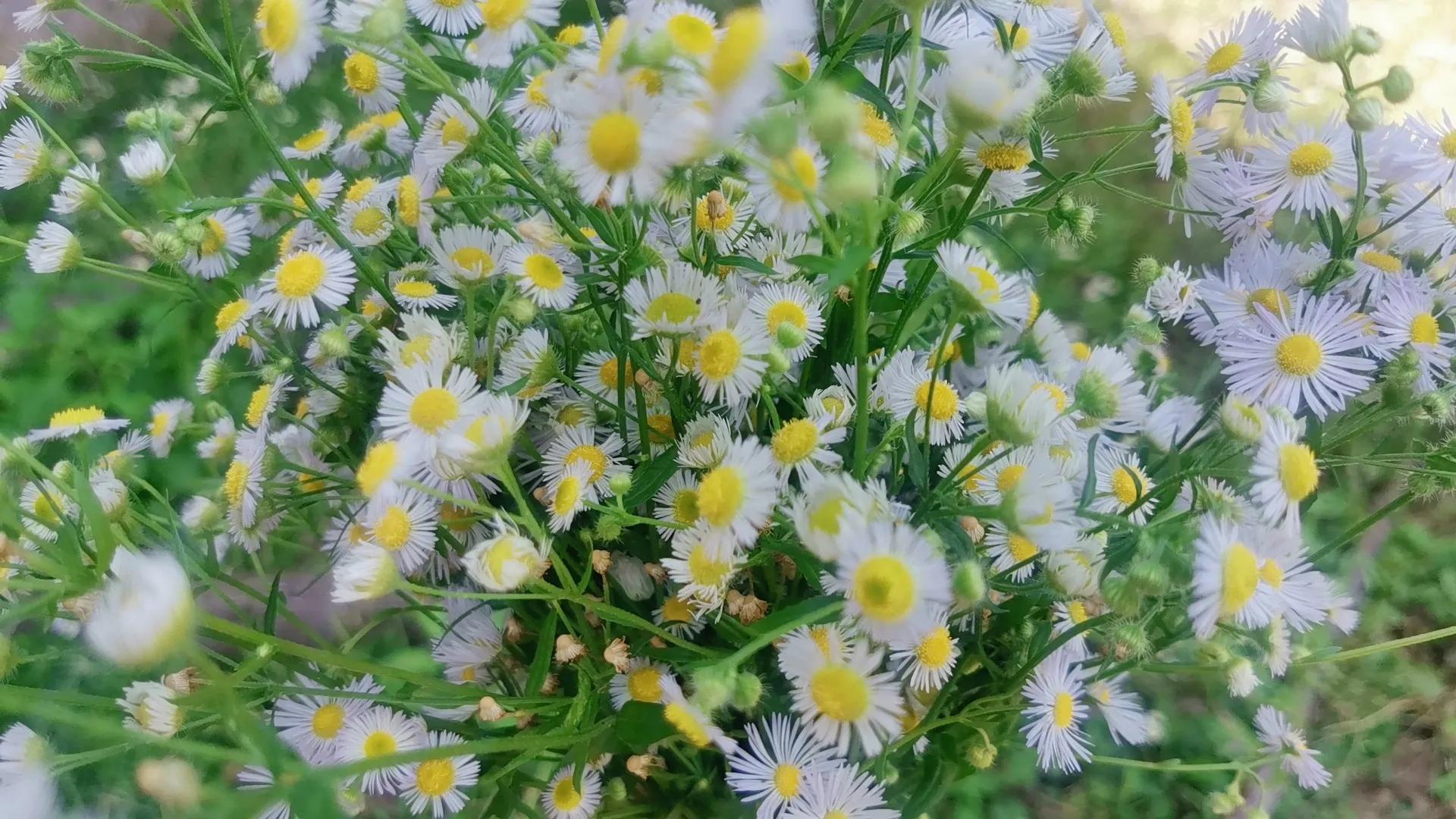 2022年的最后一个月，我被骂的狗屎不如，网暴有多可怕