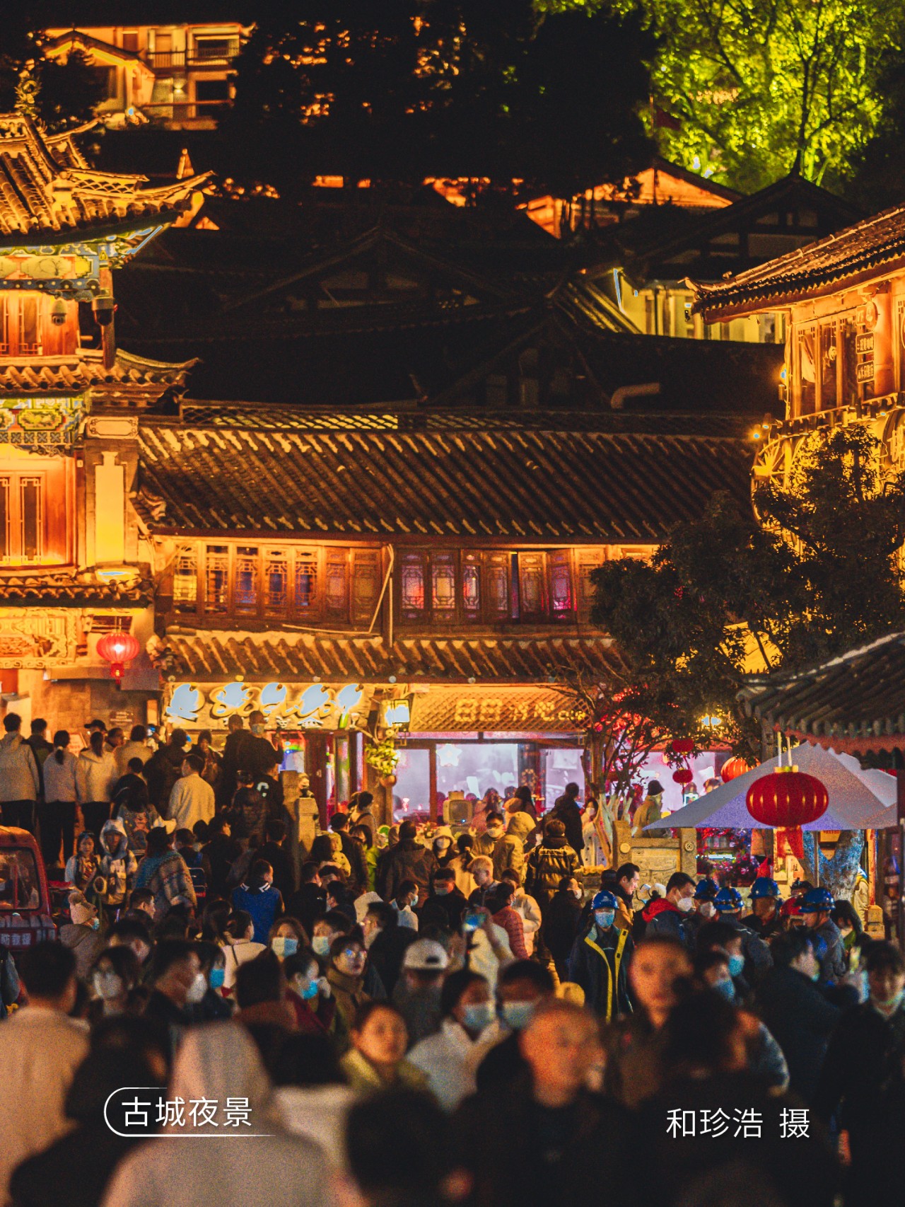 云南世界花园视频,云南世界花园