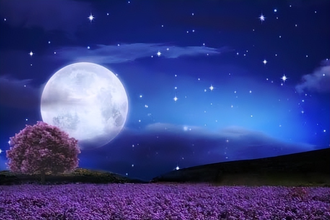 描写春月的七绝诗,关于春月的古诗词名句