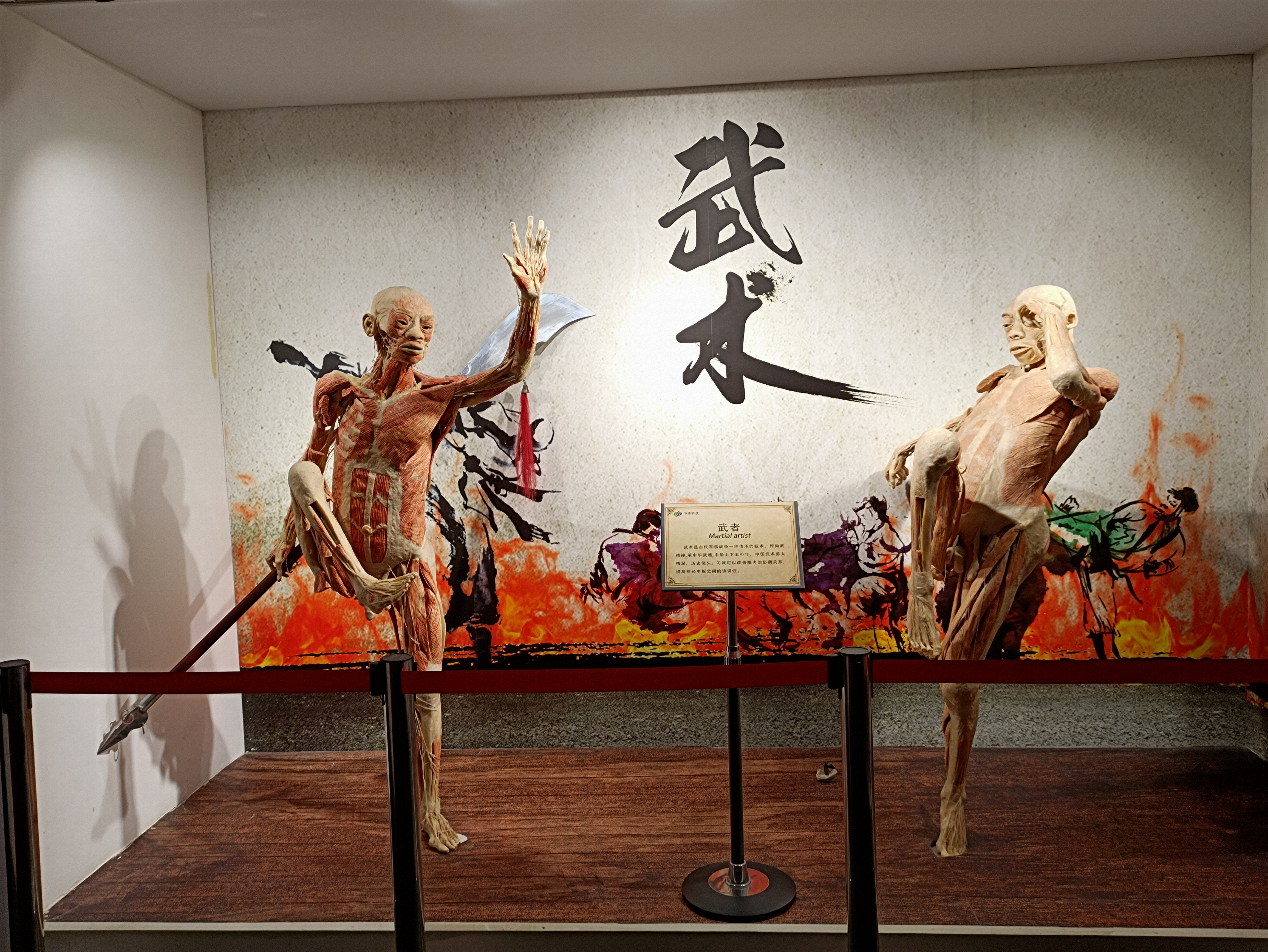 郑州人体科学馆要门票吗,郑州适合带孩子玩的博物馆科技馆