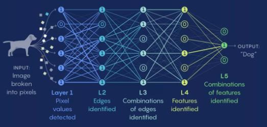 人工智能头顶的阴霾：深度学习神经网络的不可解释性