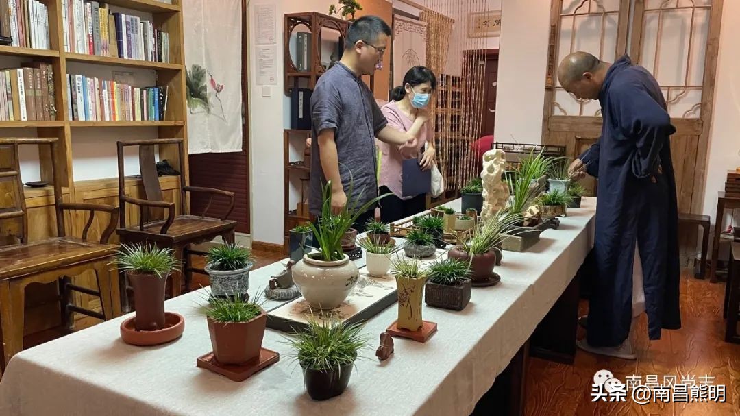 鍏竴鍎跨鑺傚叞鑺辫崏,鍏竴鍎跨鑺傜尓绗艰崏