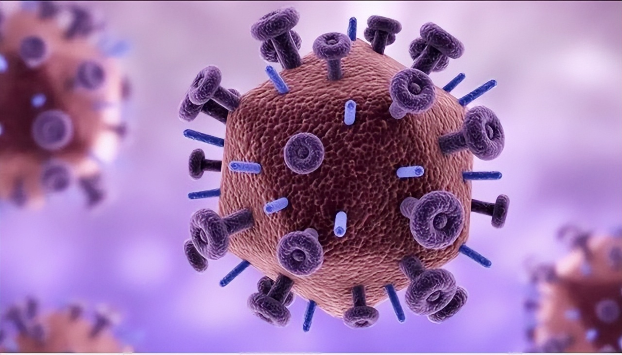 澳大利亚野兔泛滥成灾的原因,澳大利亚的野兔成灾结局