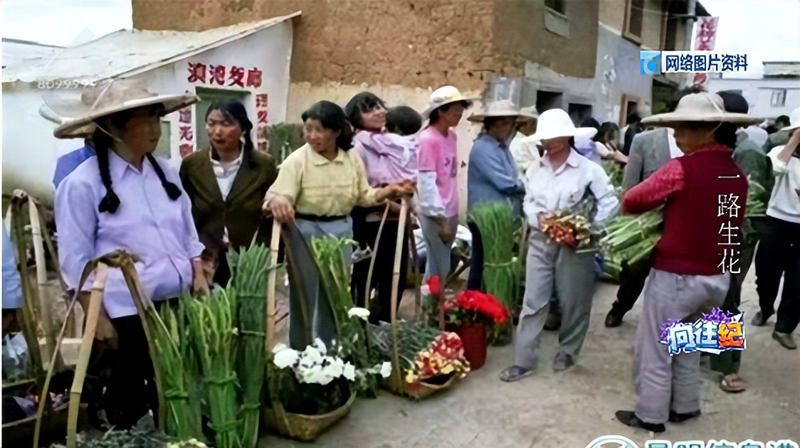 盘点人们都向往的工作,向往的工作和现实的工作