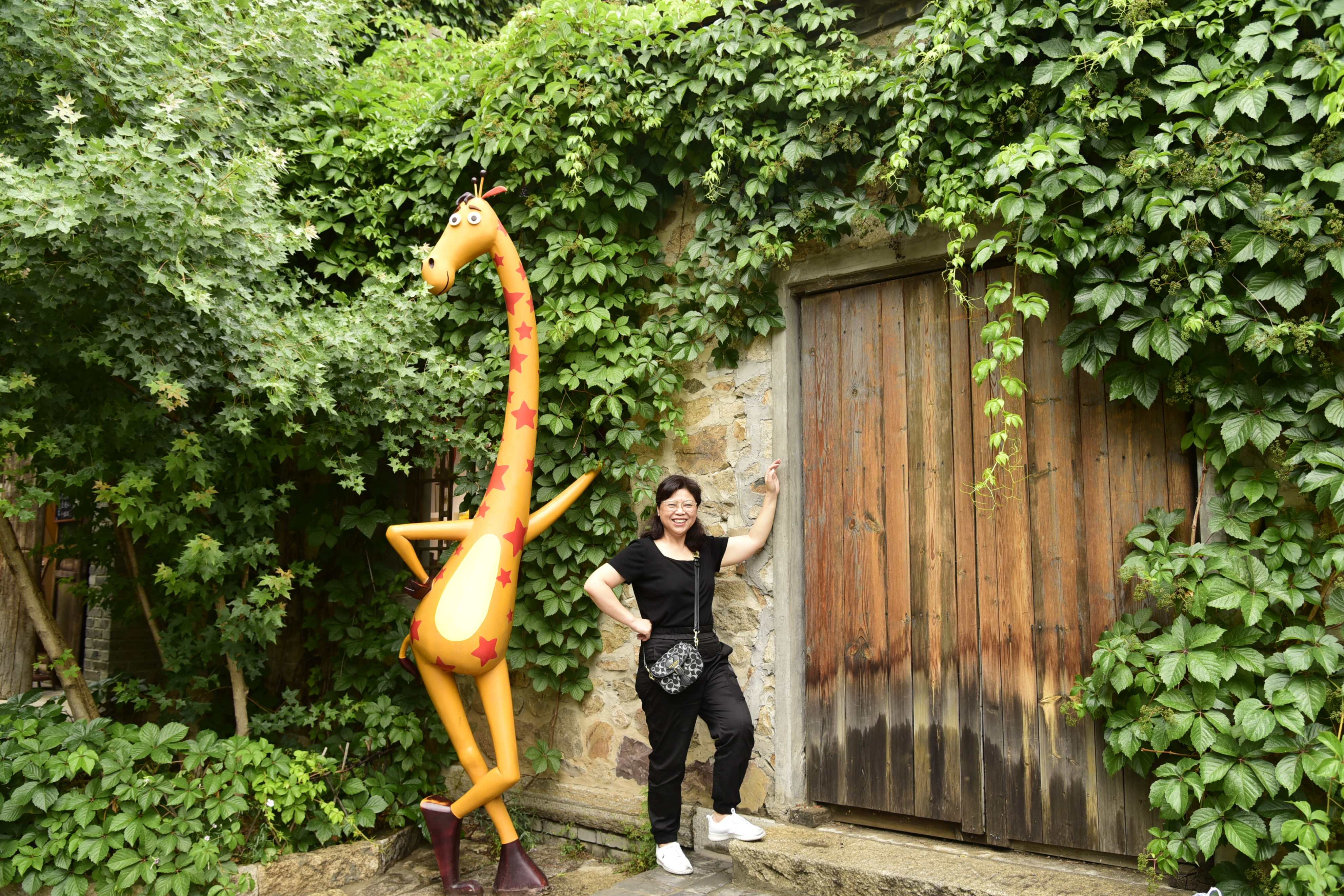 北方江南古北水镇,北方江南水镇简介