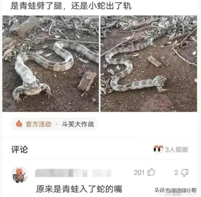 小蛇化身美杜莎,小蛇瞬间变成美杜莎