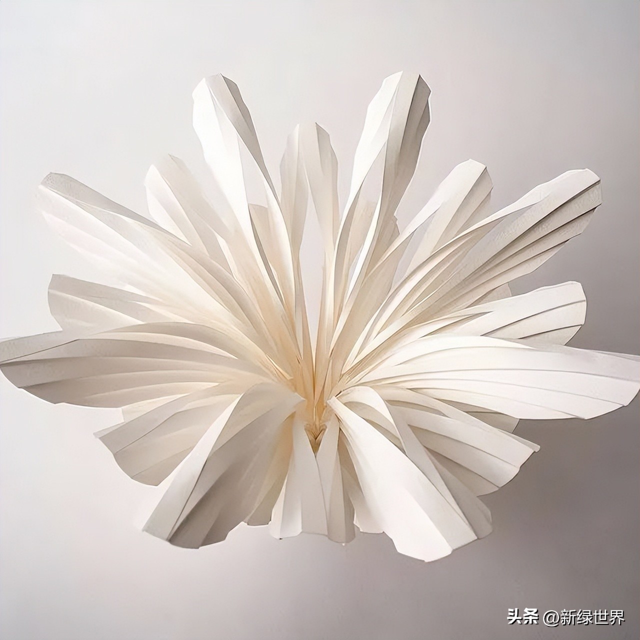 一组纸艺作品,令人惊艳的纸艺作品