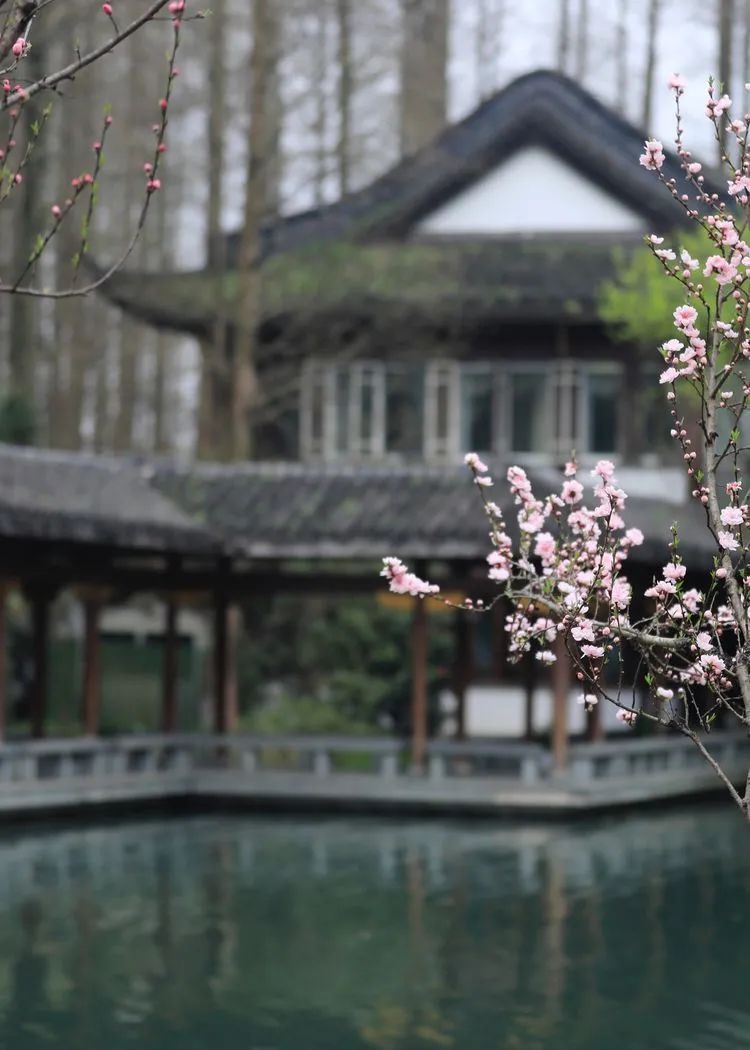 这些“一字题”诗词，题目只有一个字，却依然流传千古，都是名作