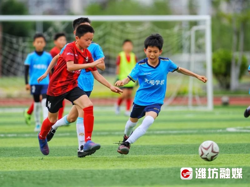 潍坊2023青少年足球比赛,潍坊市2021年小学足球联赛