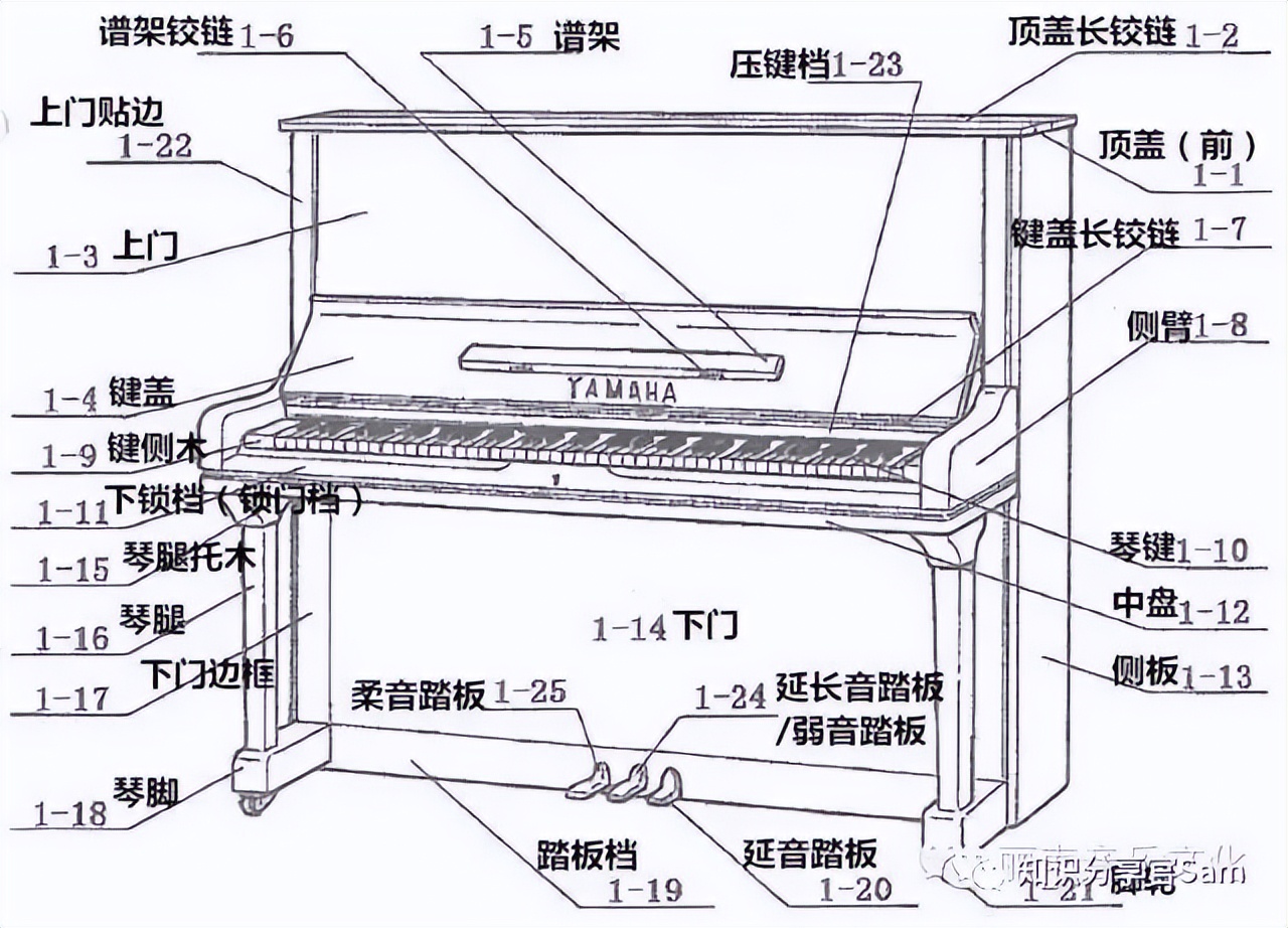 学音乐乐器的基础入门教程,音乐爱好者学的简单乐器