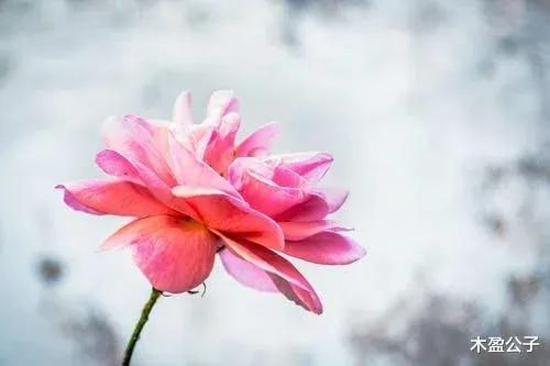 在你困难时遇到朋友借钱该怎么办,别人在你困难时借钱给你还不该要