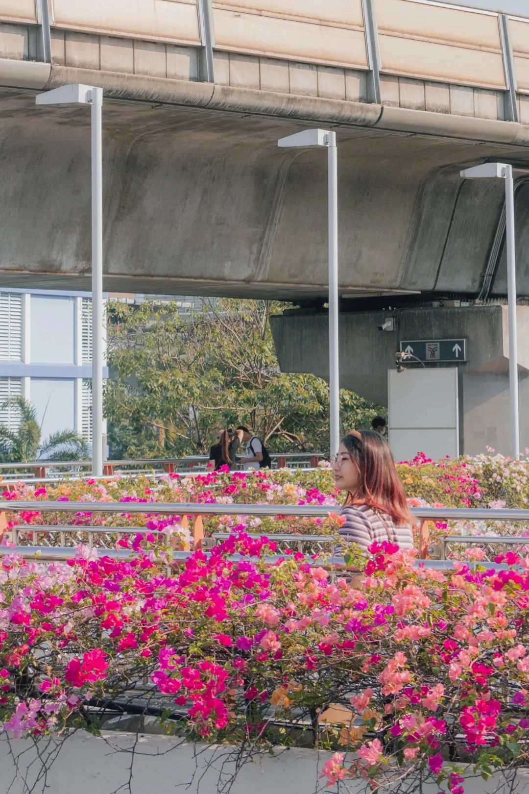 鍘绘嘲鍥芥浖璋峰拰鑺彁闆呯殑鏀荤暐,鍘绘嘲鍥界帺杞浖璋疯姯鎻愰泤