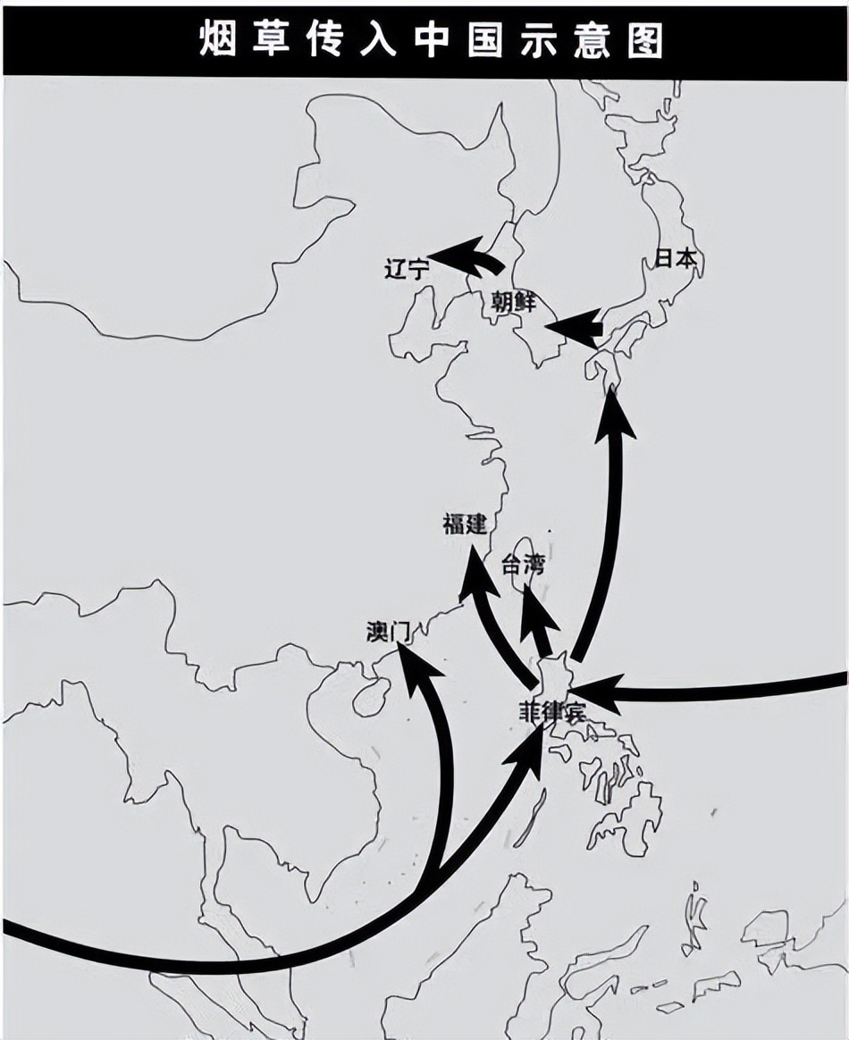 中国为什么禁不了*草烟**?