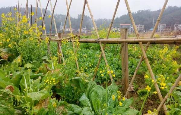 中年失业后的工作经历,干了两年的汽修工感觉好迷茫