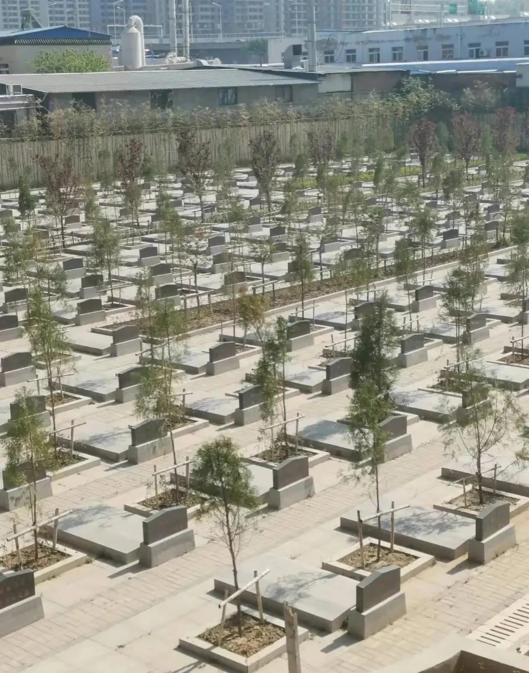 山东曹县为87名无名烈士寻亲找家,曹县孙智敏