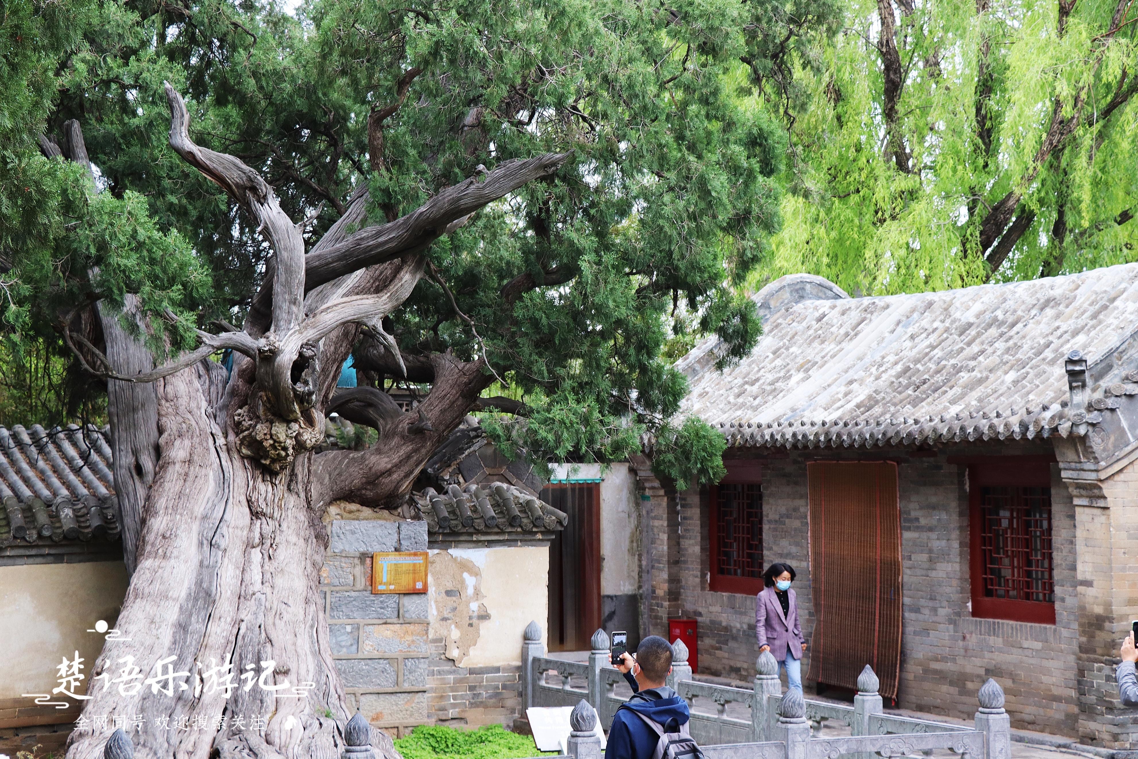 郑州少林寺音乐大典,嵩山禅宗音乐大典