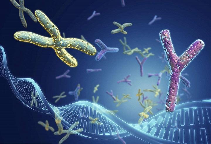 男性身高与寿命有关吗,男性身高与寿命对照表