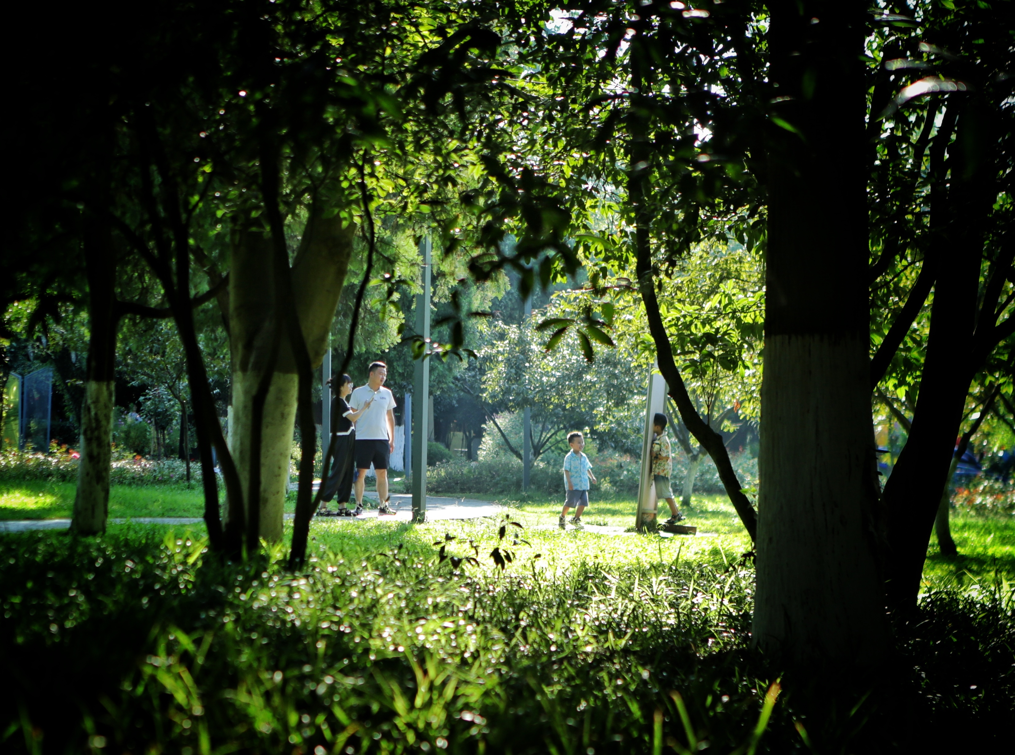 贵阳周边游玩一日游推荐秋冬,贵阳省钱旅游攻略