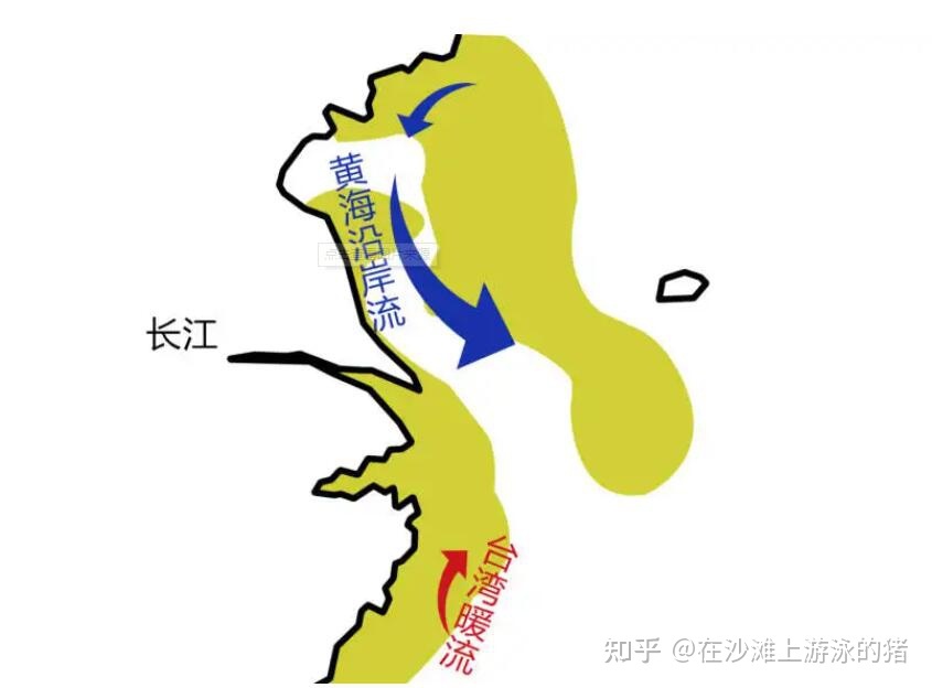 舟山活鲜梭子蟹,舟山鲜活梭子蟹