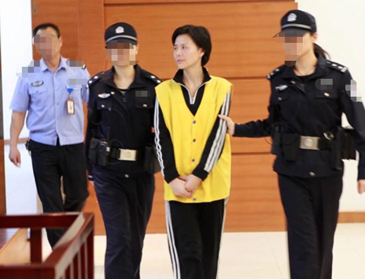 美女嫩模“靠身体”混社会,4年欠下17亿,整容跑路未遂成死囚!