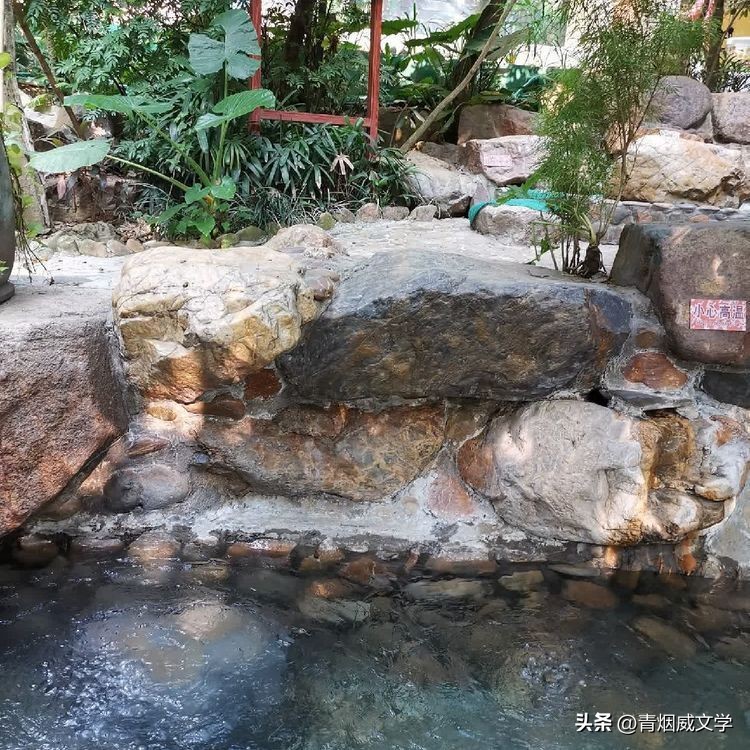 鹧鸪天诗词大全,鹧鸪天咏秋的原创诗词