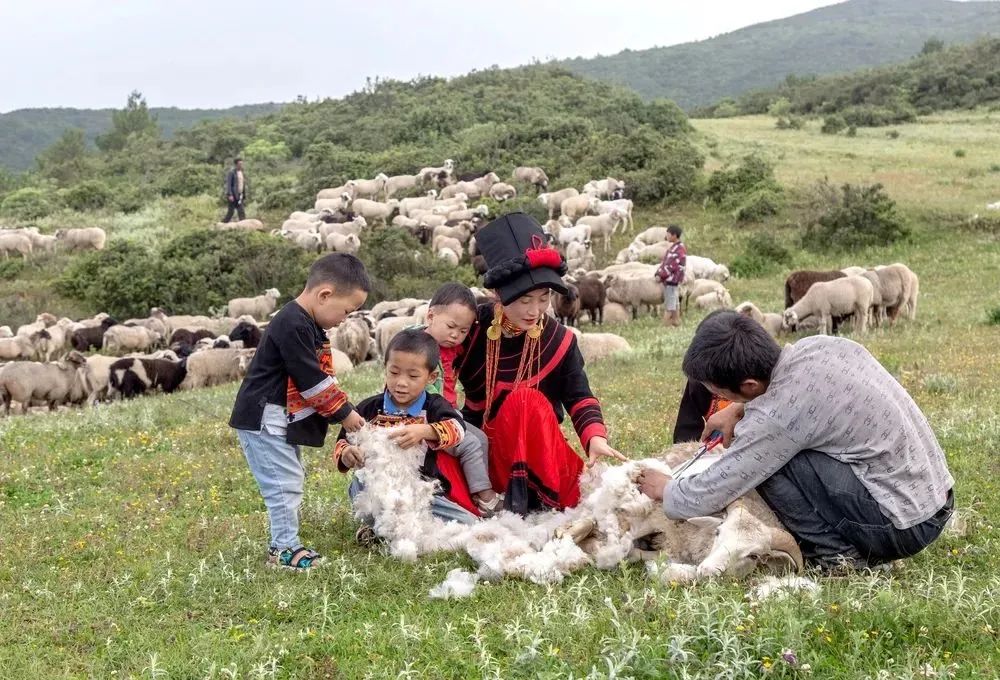 昭觉美姑,美姑路况