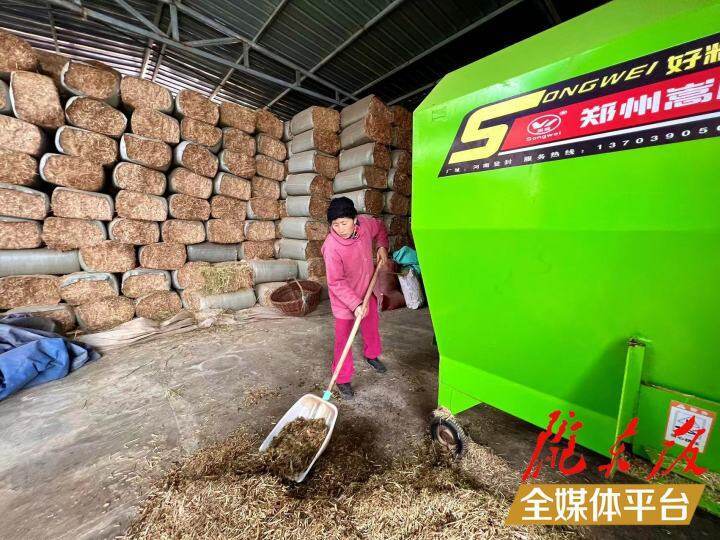 新春走基层夫妻,返乡创业的夫妻日常