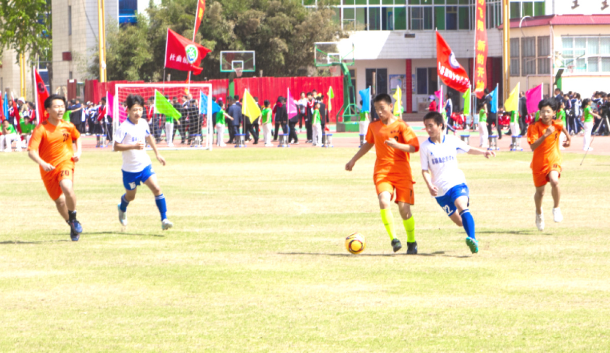 临颍县县长杯足球赛小学组比赛,临颍县青少年足球联赛