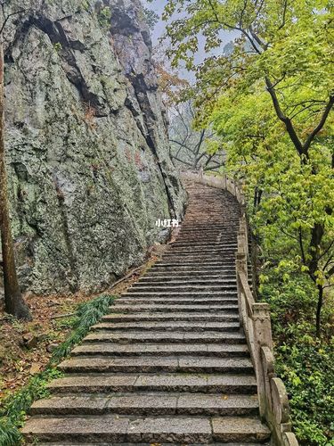 一月山茶花哪个地区最美,赏花山茶花