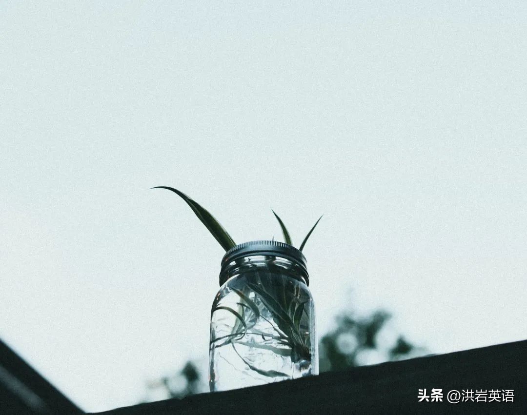 宝藏自学网站大全免费网址,课程学习宝藏网站