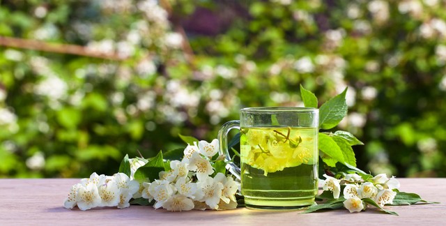 你爱喝龙井吗,茉莉花茶品鉴方法