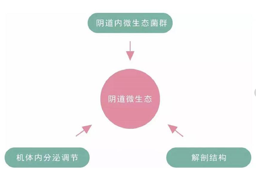 卫生巾里面有虫卵的东西,卫生巾有虫卵用了会怎样