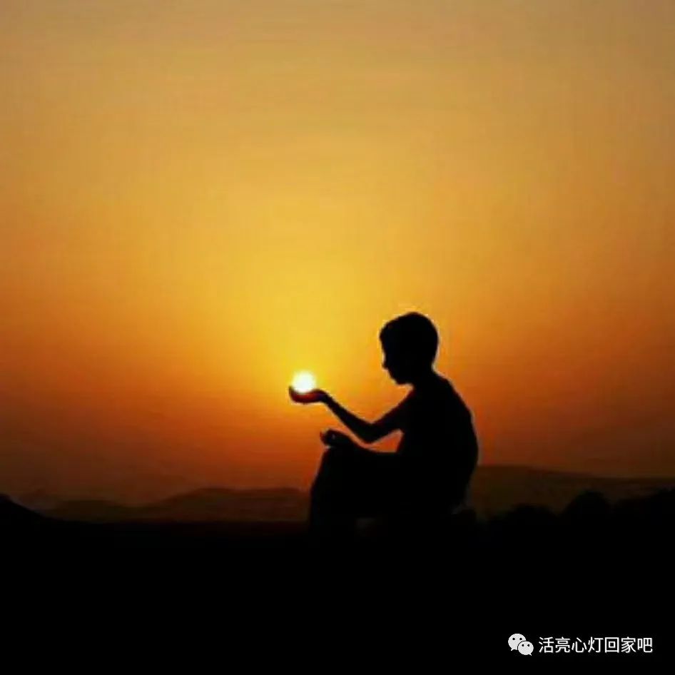 肉体是精神的躯壳,肉体是意志的载体