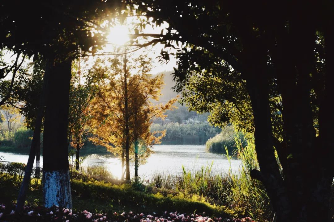 南方小众避寒好去处,今冬避寒好去处推荐