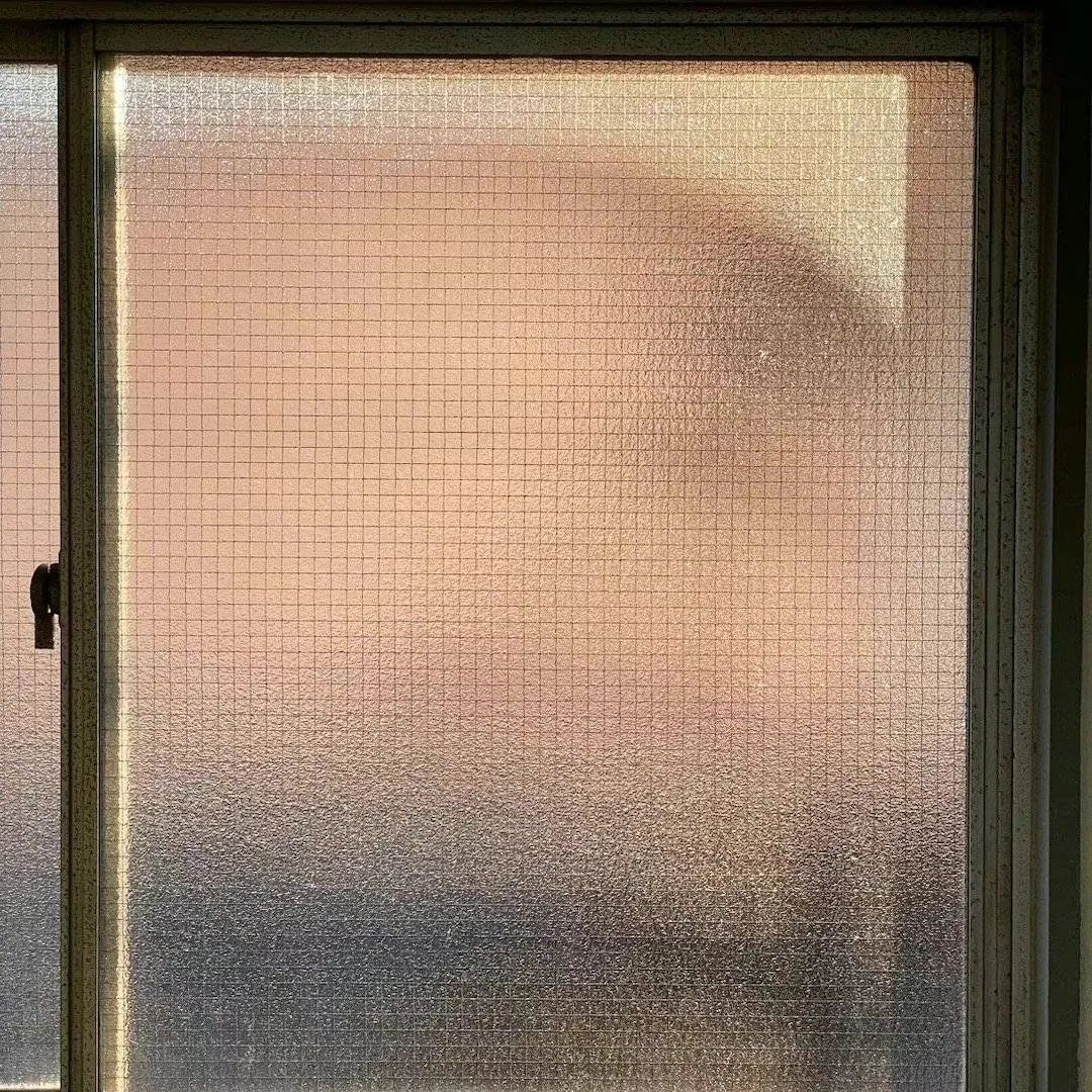 春日氛围感头像带背景图,春日已至头像图片