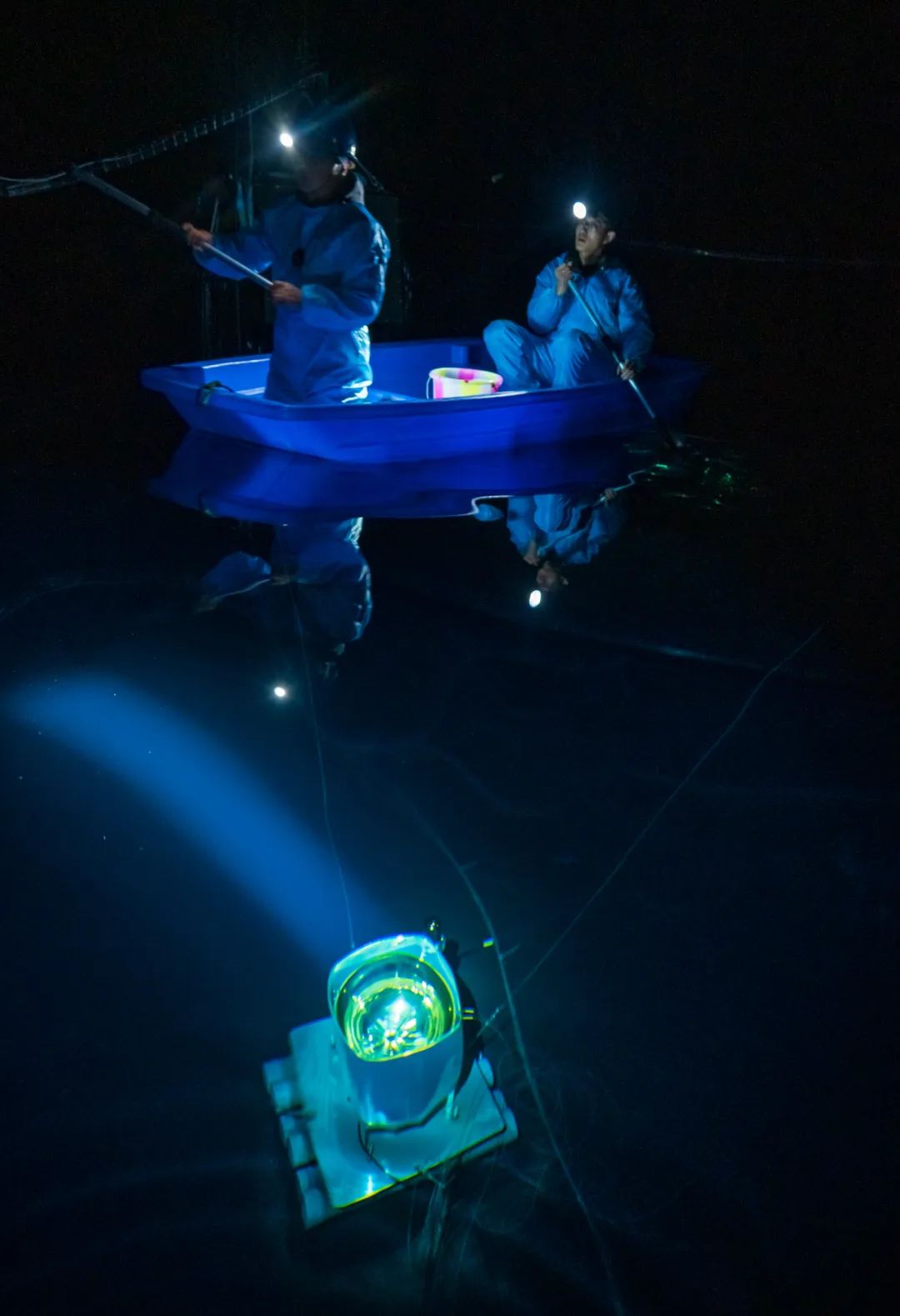 占地45亩的标准足球场馆,116公顷几个足球场